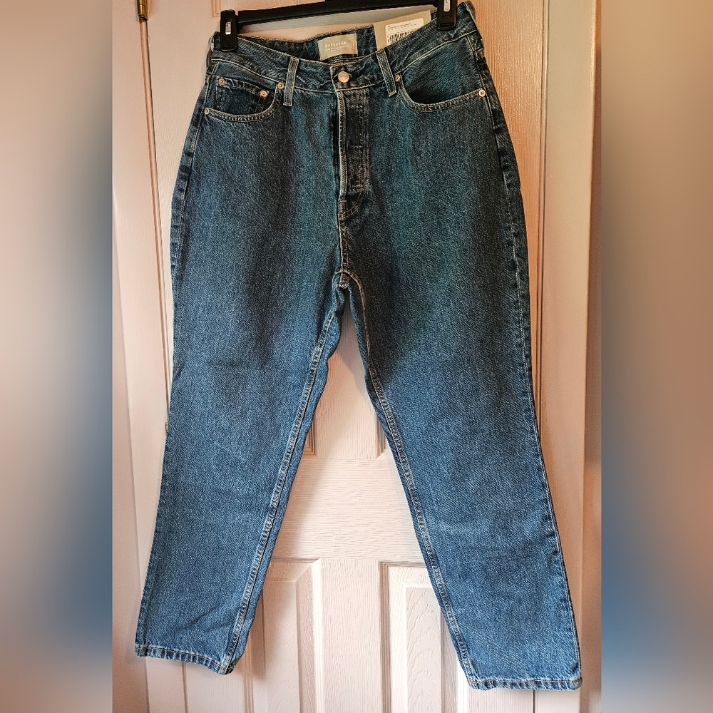 NWT Size 31 Everlane Curvy 90s Cheeky Straight Jean